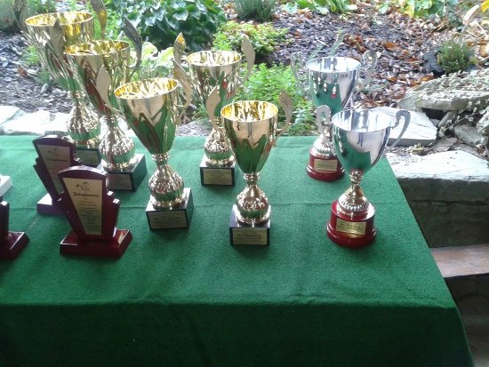 Kamionka 2015